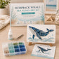 Sea Glass Art Kit – Create Stunning Mosaic Masterpiece