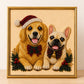 Christmas Cat Pearl Diamond Painting Kit