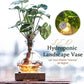 LED Hydroponic Plant Vase（The set includes 1 LED base + 1 vase）