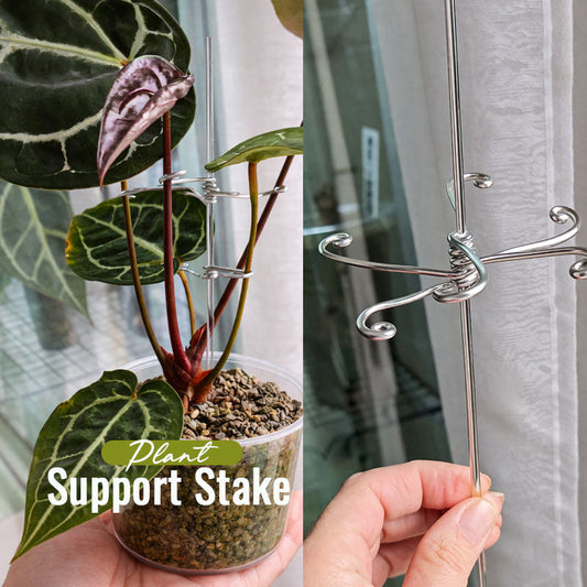 Plant Shaping Support Pole — Elevate Your Greenery with Graceful Precision