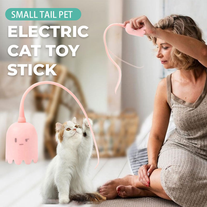 Small Tail Pet Electric Cat Toy Stick