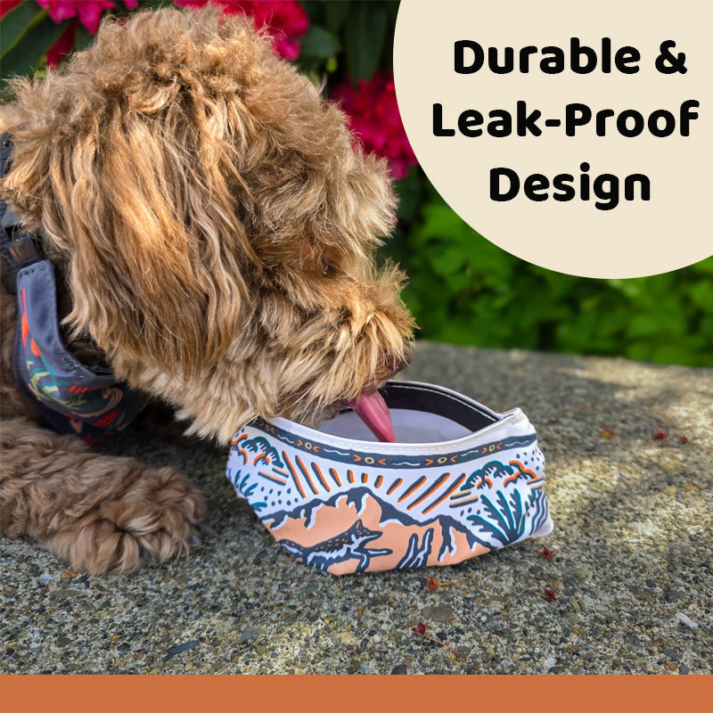 🐶 Dog Hydration Bandana | Wearable Water Bowl for Outdoor Adventures