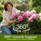 Round Plant Support Frame – Garden Stem Support Ring