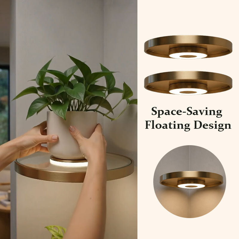 LED Floating Plant Stand