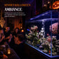 Halloween Dynamic Skeleton Fish Tank Ornament