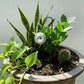 ✨ Solar Disco Ball Garden Stakes