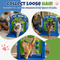 Cat Wash Grooming Station