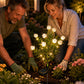 Solar Gardenia Flower Lights 🌸 LED Simulation Flower Lamps for Courtyard & Garden Decoration, Outdoor Waterproof Ambient Lighting
