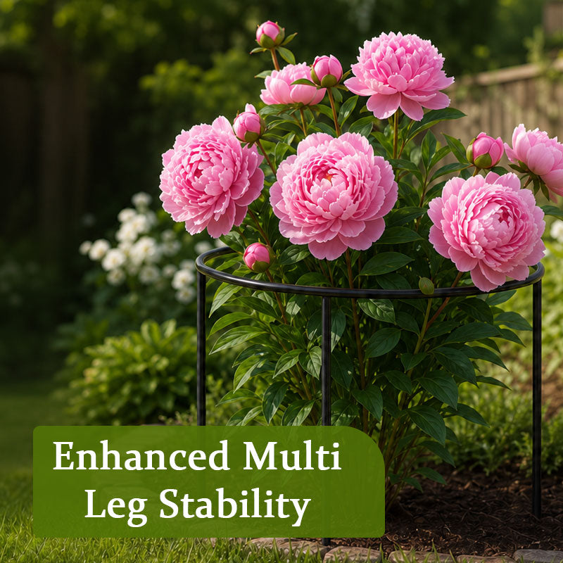 Round Plant Support Frame – Garden Stem Support Ring
