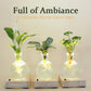 LED Hydroponic Plant Vase（The set includes 1 LED base + 1 vase）