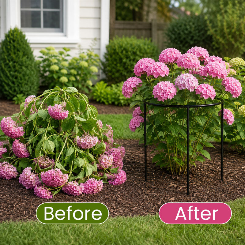 Round Plant Support Frame – Garden Stem Support Ring