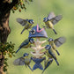 🐟🐦Fish Bones Hanging Bird Feeder