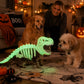 Glow-in-the-Dark Dinosaur Skeleton Costume for Cats & Dogs