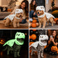 Glow-in-the-Dark Dinosaur Skeleton Costume for Cats & Dogs