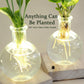 LED Hydroponic Plant Vase（The set includes 1 LED base + 1 vase）