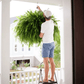 🌱 UV-Resistant Lifelike Artificial Boston Fern