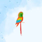 Parrot Decorations