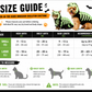 Glow-in-the-Dark Dinosaur Skeleton Costume for Cats & Dogs