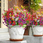 🌺UV Resistant Colorful Artificial Flower💖